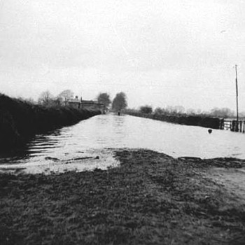 From canal bridge towards West Haddlesey